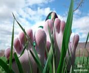 Goddess feet in cute white socks with jeans on the spring grass field from relax nature spring field