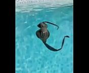 Amanda Cerny in the pool showing tits from amanda cerny sexy bikini dance onlyfans video leak mp4