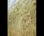 खेत मे चोदाई from desi mujra shemale nude 3gp