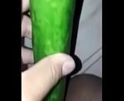 sticking the cucumber in the pussy from sticking the cucumber