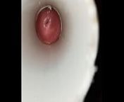 Vagina sex from fimel fock mel sex