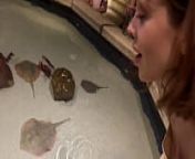 Aquarium Trip with Aliya Brynn Turns Into Aggreive Ass Eating and Milking from pimpandhost com cum aliya bhat sex
