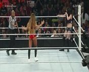 Nikki Bella vs Paige. Money in the Bank 2015. from nikki bella pussxx naviya