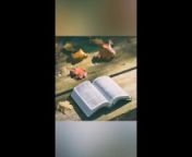 Numbers 12-14 KJV (Full Bible Read Through Video #30) from niiko lida bashal