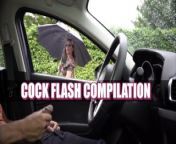 NICHE PARADE - Cock Flash Compilation from niches dads