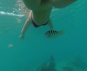 Snorkeling in reef from nude snorkeling underwater