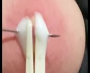 Bdsm painful breast tit torture nipple piercing needleplay from women tit tortur