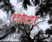 Winter Forest 2 from boy fack boy sex porn videos